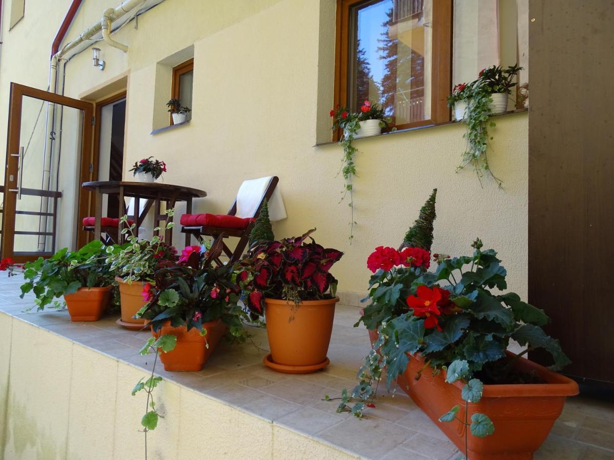 Alpin Residence Sinaia Luaran gambar