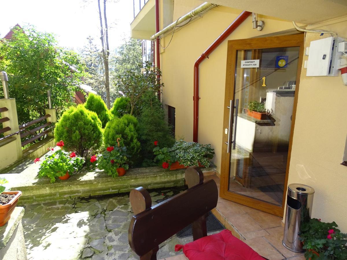 Alpin Residence Sinaia Luaran gambar