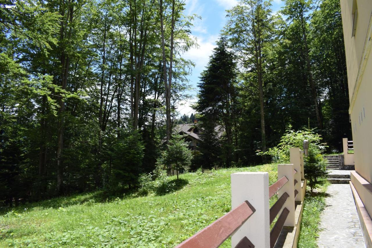 Alpin Residence Sinaia Luaran gambar