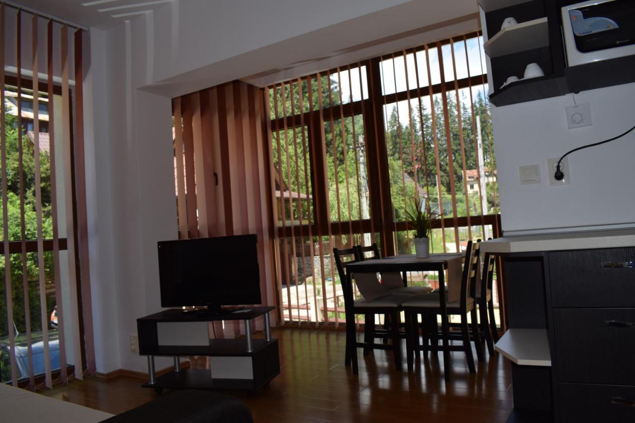 Alpin Residence Sinaia Luaran gambar