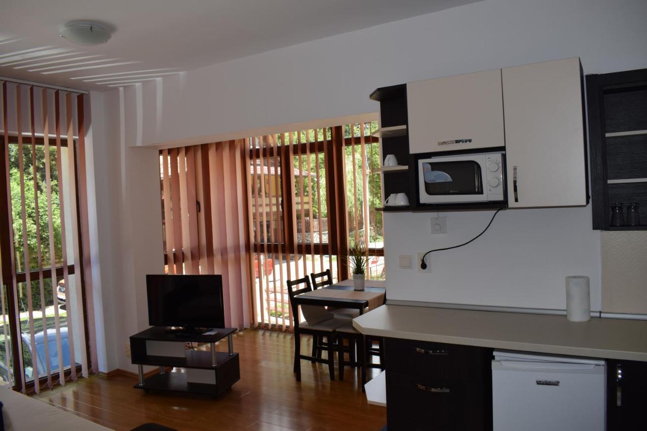 Alpin Residence Sinaia Luaran gambar